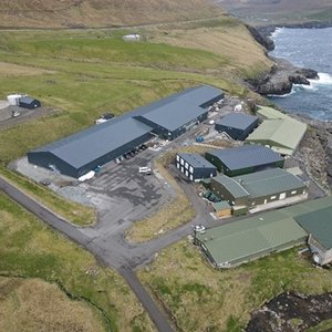 Bakkafrost to start building its second hatchery in Scotland