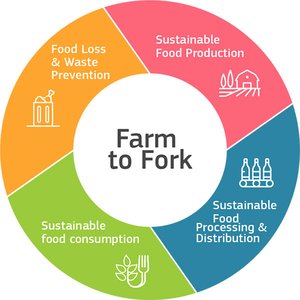 EU Farm to Fork and Biodiversity strategies for sustainable food systems