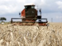 Global agricultural production projected to increase by 1.1% per year over the next decade