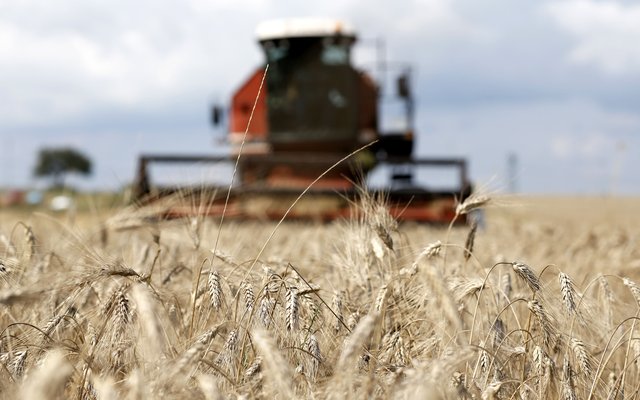 Global agricultural production projected to increase by 1.1% per year over the next decade