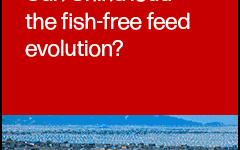 Join F3 webinar on emerging trends in fish-free feeds in China