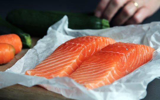 Nutreco partners to establish land-based Atlantic salmon farming facility in Japan