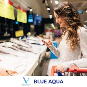 Blue Aqua partnership to adopt blockchain traceability in shrimp farming