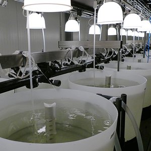 DENMARK - BioMar expands its R&D capabilities in the hatchery feed sector