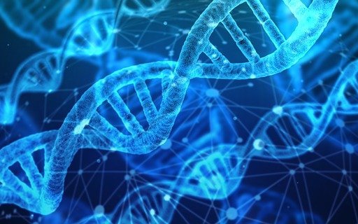 EU to discuss the application of new genomic techniques in animal farming