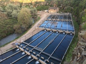 Troutlodge turns Rock Creek Hatchery into an R&D facility