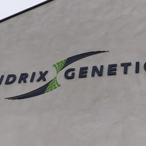 Paine Schwartz makes strategic investment in Hendrix Genetics