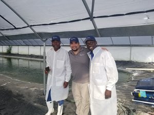 Spring Genetics inks deal with Africas largest integrated tilapia producer