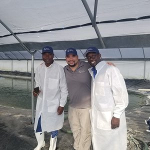 Spring Genetics inks deal with Africas largest integrated tilapia producer