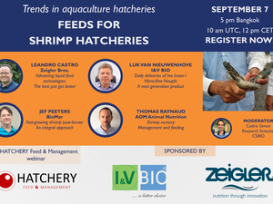 Registration now open for Feeds for Shrimp Hatcheries webinar