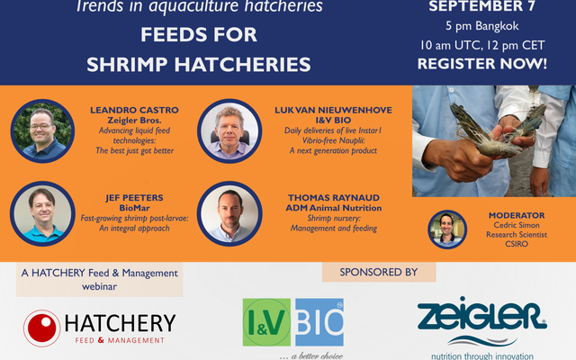 Registration now open for Feeds for Shrimp Hatcheries webinar