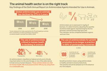 Use of antimicrobials in animals trends downwards, new report says