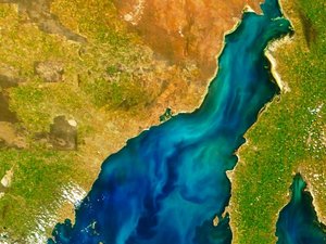 3Spencer-GulfPhytoplankton-bloomJacques-Descloitres-MODIS-Land-Rapid-Response-Team-NASAGSFC