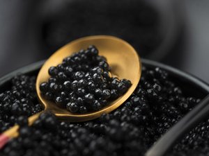 ADN_caviar