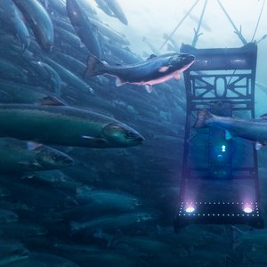 Aqua-Technology_Falcon_Underwater_HI