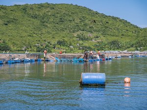 Fishfarm in Kenya