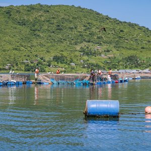 Fishfarm in Kenya