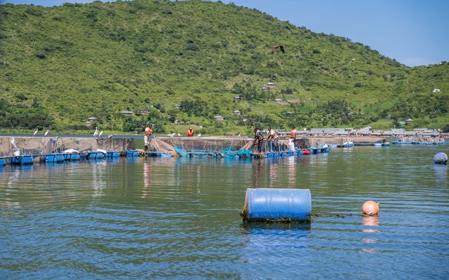 Fishfarm in Kenya