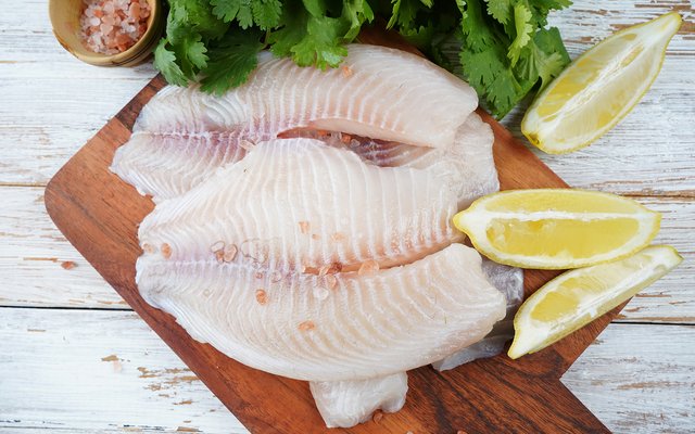 Fresh tilapia fillets