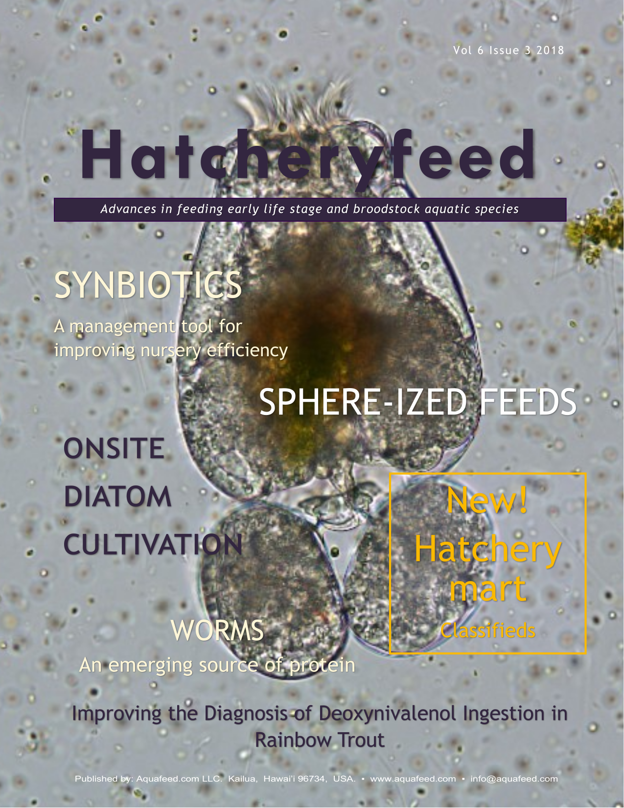 Susan Antony On Linkedin Hatchery Feed Management Vol 11 Issue 4 2023