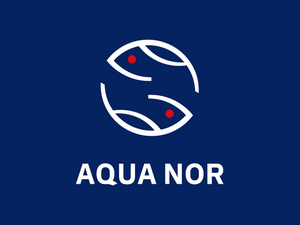 Screenshot 2025-01-29 at 18-51-58 Download our logo in the desired format - Aqua Nor