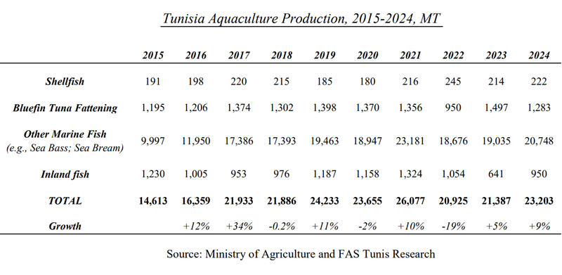 Tunisia_production.original