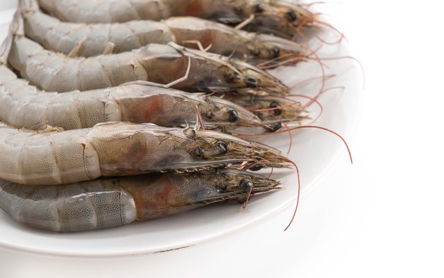 fresh-shrimp-prawn