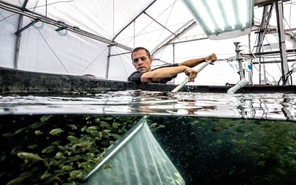 $14 million to strengthen US aquaculture