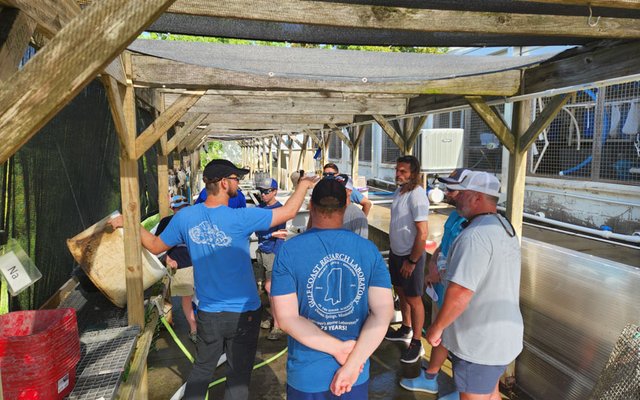 oysterresearch