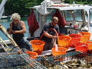 photo-harvesting-oysters-grown-in-damariscotta-rive_original